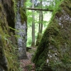 Gebietswanderung Rinnerberger Wasserfall